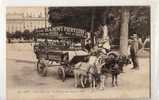 Lyon      69    .Place Bellecour.. La Voiture Aux Chèvres .... Publicité  Pétrole Hahn - Other & Unclassified