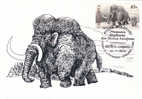 Mamut,Mammuthus 2010 CM,maxi Card,carte Maximum Obliteration FDC - Moldova/Moldavie. - Elephants
