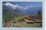 Nepal  Pokhara - Népal