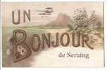 D4166  - Un Bonjour De Seraing - Seraing