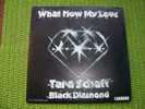 TARA  SCHAFT  AND BLACK  DIAMOND  °  WHAT NOW MY LOVE - Autres - Musique Anglaise