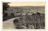 REMICH S/ Moselle - Vue Prise Du Galgenberg - Remich