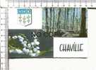 CHAVILLE -  Dans Les Bois De Chaville -  Muguet - Ecusson - Chaville