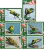 B02166 China Phone Cards Parrot 6pcs - Perroquets