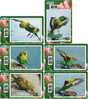 B02166 China Phone Cards Parrot 6pcs - Papegaaien & Parkieten