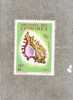 COMORES :   Coquillage : Murex Ramosus - Unused Stamps