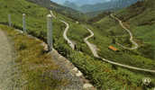 COL DE PORT - Les Lacets De La Route De SAINT-GIRONS à TARASCON-SUR-ARIEGE - TBE, Carte Neuve, 2 Scans - Saint Girons