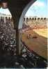 CPM - Algeciras Algesiras (Espagne) - Plaza De Toros - Place Des Taureaux - Almería