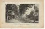 CPA TOUCY (Yonne) - Boulevard Pierre Larousse - Toucy