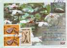 Romania / Postal Stationery / Swan - Cisnes