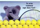 Ourson, Balles Et Raquette De Tennis Tu M'as Vraiment Tape Dans L'oeil! Photo Zbigniew Nadolny; Gros Calins - Tenis