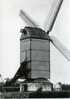 ZWEVEGEM (W.Vl.) - Molen/moulin - Close-up Van De Mortiermolen In 1968 (vóór De Restauratie) - Zwevegem