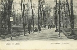 AK Berlin Tiergarten Ahornsteig 1912 Strichstempel #149 - Tiergarten