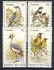 #Transkei 1980. Birds. Michel 75-78. MNH(**) - Transkei