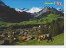 (CH602) ADELBODEN. TIERHORNLI, STEGHORN, .. - Adelboden