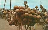 Haiti - Calabashes - Gourds Seller, Port-Au-Prince - Old Unused Postcard [P2122] - Haiti