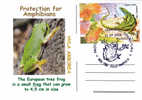 PROTECTION FOR AMPHIBIANS RANA TEMPORARIA- Turtles,nice,POSTCARD 2006 Obliteration Concordante Romania.. - Turtles