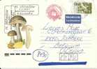 Bulgaria 2003 / Mushroom Champignon - Cartas & Documentos