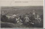 (52)  Vue Panoramique - Montigny Le Roi