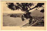 LIPARI (ME) PANORAMA TRA LE FRONDE 1934 - Messina