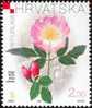 DOG-ROSE ( WILD BRIAR ) – Rosa Canina L. ( Croatia Stamp MNH** ) églantine églantier Dog Rose Rosal Silvestre Escaramujo - Roses