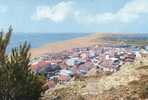 11 - LEUCATE PLAGE - Vue Générale Aérienne -  Plage - Aude - Leucate