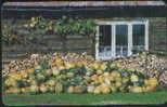 ROMANIA 090 - MELONS - Roumanie