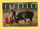 Corrida De Toros - Pase Con La Derecha  Manuel Benilez " El Cordobès " - Corridas