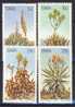 #SWA 1981. Plants: Aloes. Michel 504-07. MNH(**) - Namibie (1990- ...)