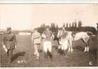 Theme  Sport CHEVAUX   POLO  1937 - Hippisme