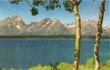 The Grand Tetons 1967 - Other & Unclassified