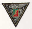 2ème REGIMENT ETRANGER DE PARACHUTISTES - Patches