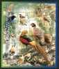 China 2008-4 Bird Stamps Sheetlet Pheasant Magpie Birds Forest Fruit Bug Insect - Blokken & Velletjes