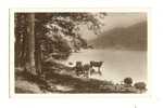 Cp, Angleterre, Near Ferry Nab, Windermere, An August Afternoon, Voyagée 1912 - Altri & Non Classificati