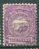 New South Wales Yvert N°59 Oblitéré ( Voir Filigrannes - Ay3618 - Used Stamps
