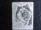 Timbre Terres Australes Et Antarctiques 2000** - Unused Stamps