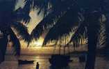 ILES SEYCHELLES 1981 (la Digue) - Seychelles