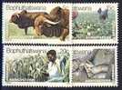 #RSA/Bophutatswana 1979. Agriculture. Michel 51-54. MNH(**) - Bophuthatswana