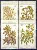 #RSA/Bophutatswana 1980. Wildfruits. Michel 56-59. MNH(**) - Bofutatsuana