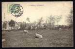 CPA  ANCIENNE- FRANCE- BREHAL (50)-  VUE GENERALE DU VILLAGE EN HIVER- MOUTONS DANS LA PRAIRIE- - Brehal