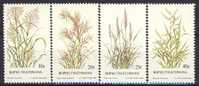 #RSA/Bophutatswana 1984. Plants: Grasses. Michel 116-19. MNH(**) - Bofutatsuana