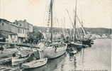 SAINT MANDRIER - Barques De Pêche Dans Le Port - Saint-Mandrier-sur-Mer