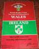 Programma Rugby Wales - Ireland  Five Nations 1991 Cardiff Arms Park - Rugby