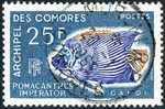 COMORES 1968 - Yv. 48 Obl.  Cote= 5,00 EUR - Poisson Pomacanthus Imperator ..Réf.AFA10389 - Usati