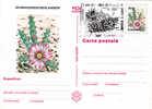 Cactusses,cactus1997 Entier Postal,postcard Obliteration Concordante Romania. - Cactussen
