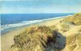 Groeten Uit Zandvoort Aan Zee. Kruger 901/10. Onbeschreven. - Zandvoort