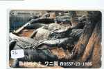 Télécarte JAPON *  KROKODIL Crocodile (26) Animal * REPTILE * PHONECARD JAPAN * - Crocodiles And Alligators