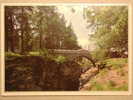 The Bridge At Linn Of Dee, Near Braemer, Scotland, Brücke Bridge Pont - Aberdeenshire