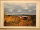 Chŏnje-Ru (Pavillon) And Chilsŏnyŏ Bridge, Brücke Bridge Pont - Korea (Zuid)