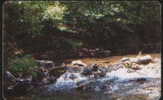 ROMANIA 154 - FOREST WITH RIVER - Rumänien